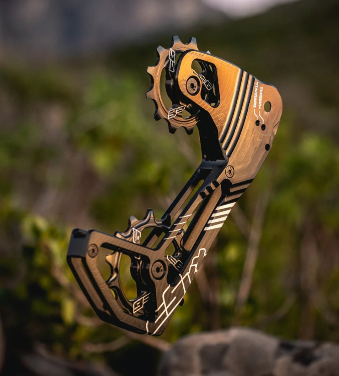 cSixx - Derailleur CAGE - Combo